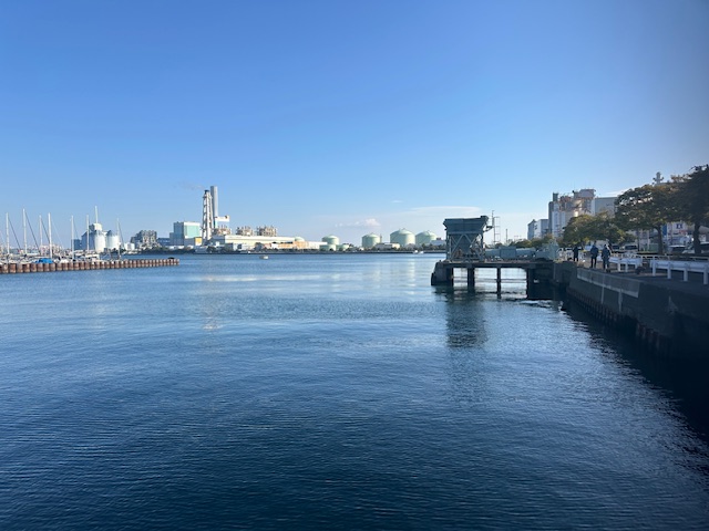 2196-3.jpg