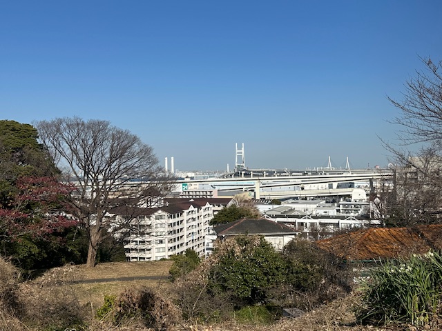 2197-3.jpg